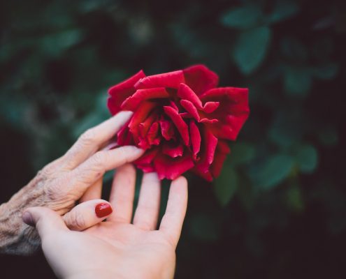 can dementia be prevented, two people's hands holding red rose